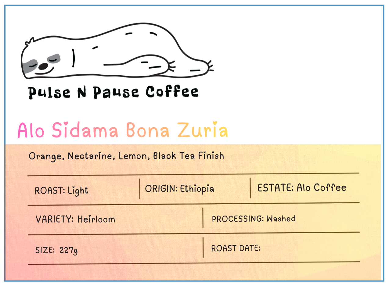Alo Sidama Bona Zuria - Washed