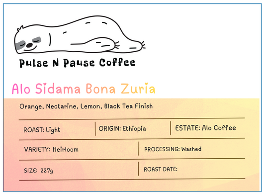 Alo Sidama Bona Zuria - Washed