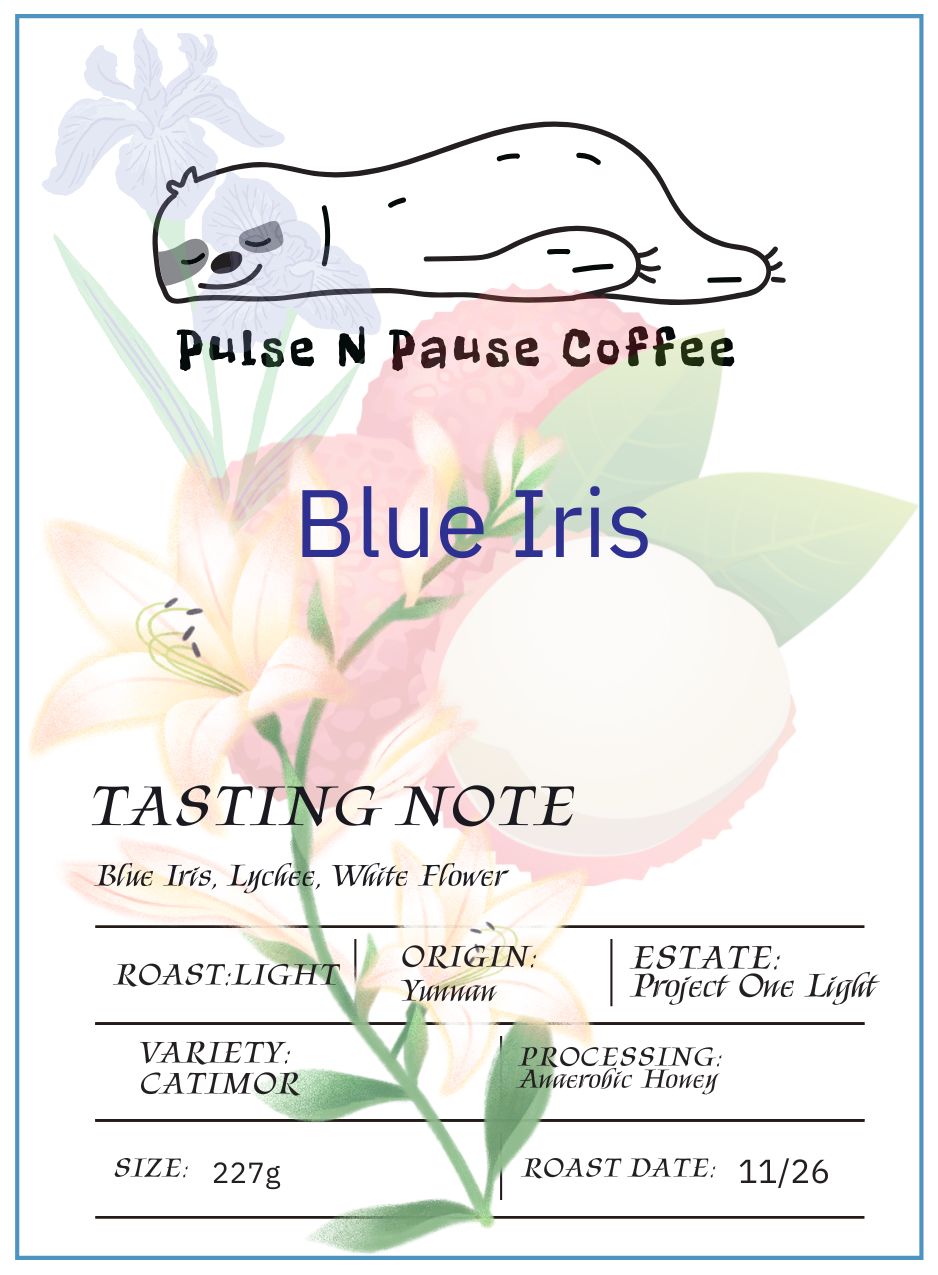 Blue Iris - Project One Light