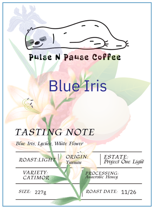 Blue Iris - Project One Light