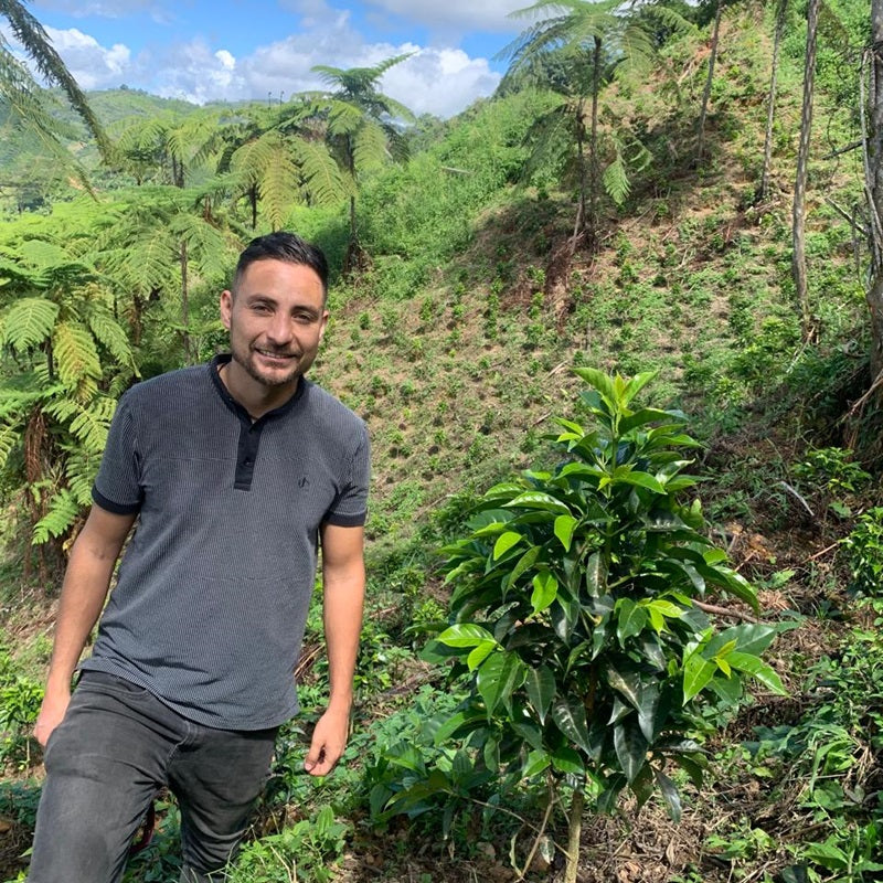 Bourbon Passifora - Semi Washed