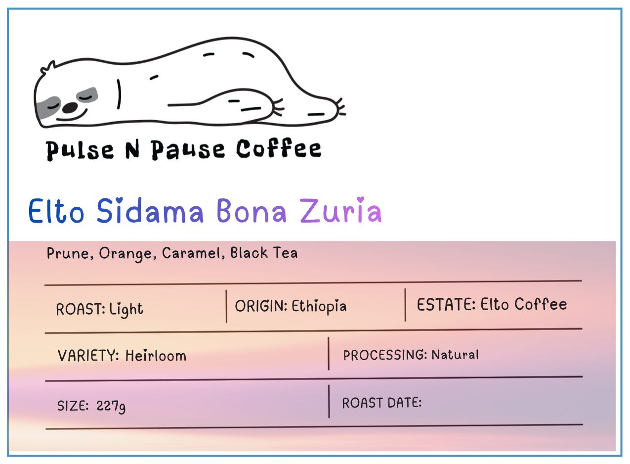 Elto Sidama Bona Zuria - Natural