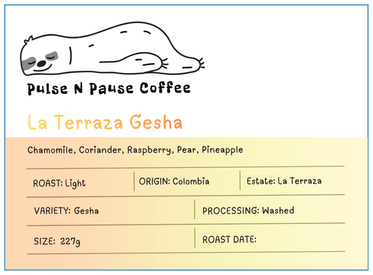 La Terraza Washed Gesha