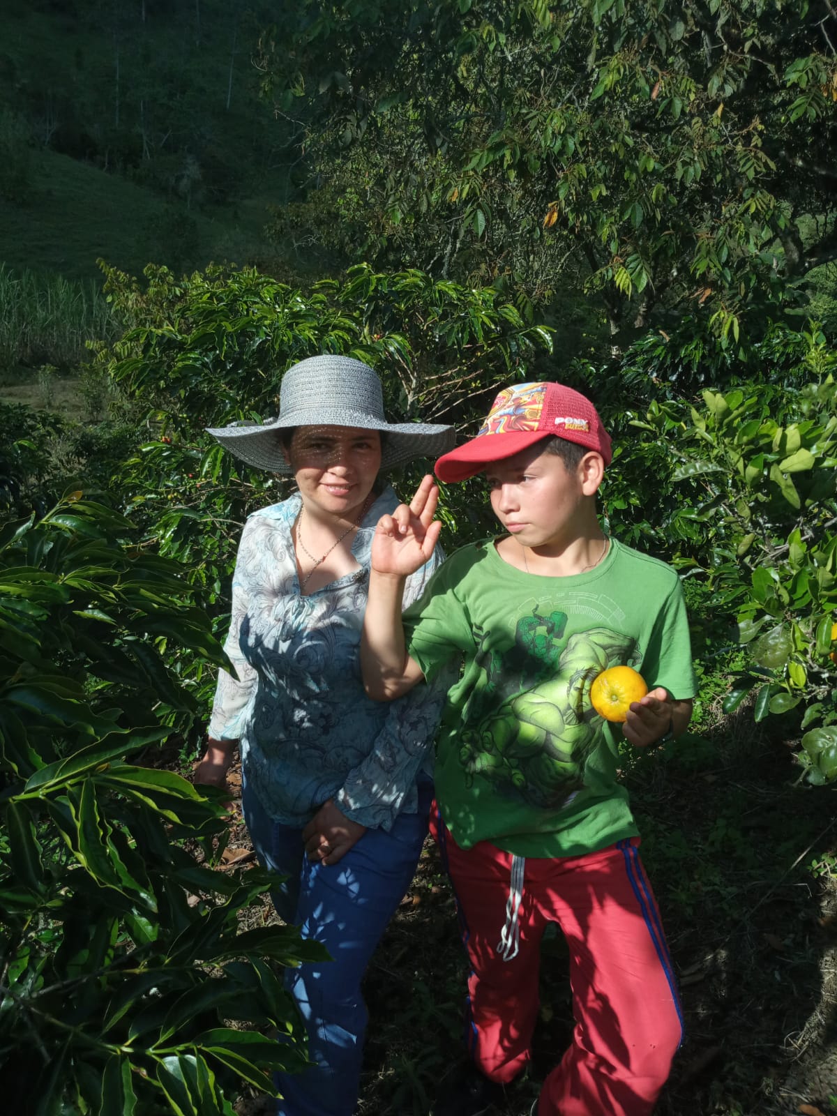 Yolombo Bloom