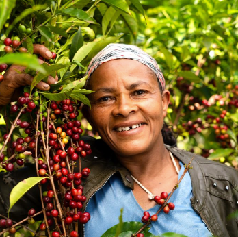 Birtukan Ethiopia Yirgacheffe