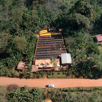 Birtukan Ethiopia Yirgacheffe