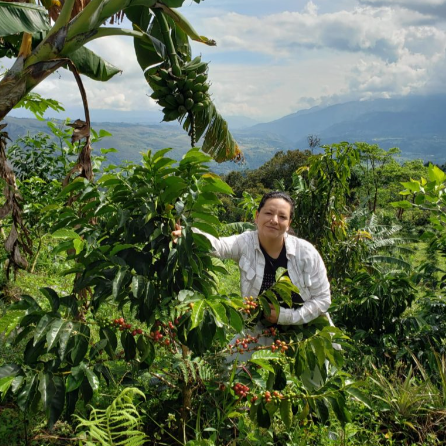 La Terraza Washed Gesha