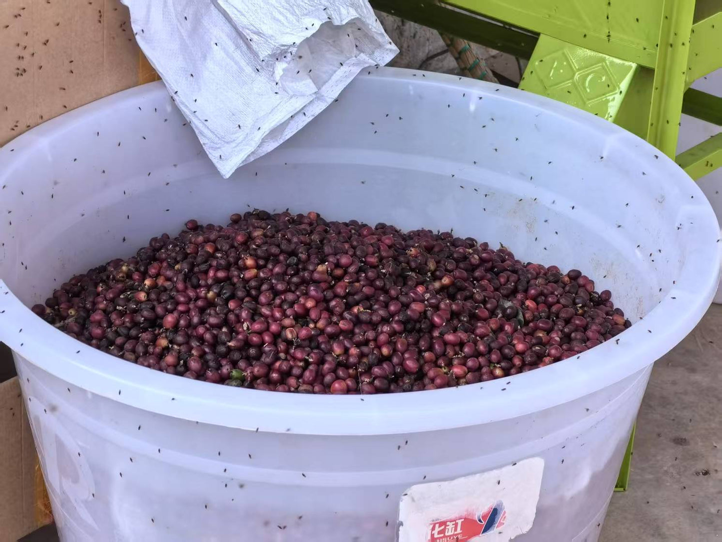 Strawberry Purée